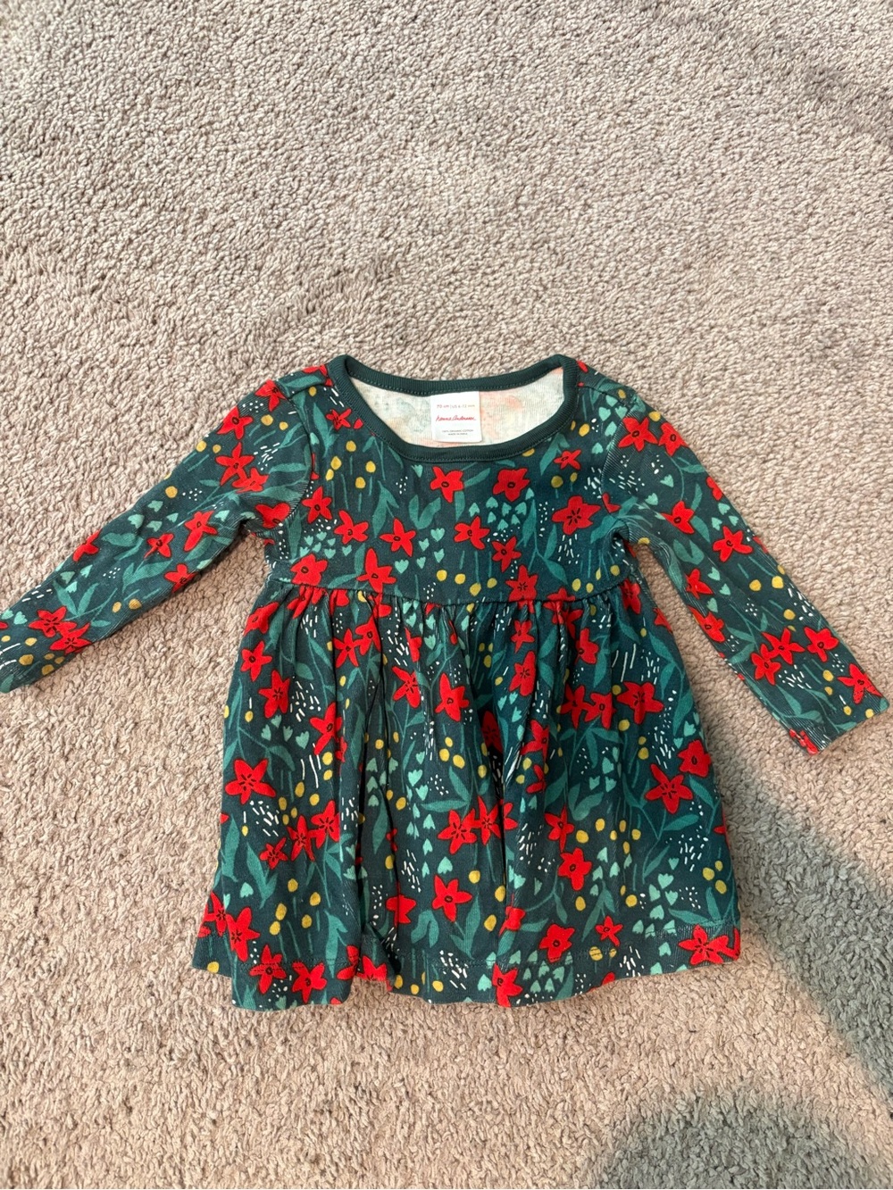 Hanna Andersson Green Long-Sleeve Floral Dress with Red Flowers
